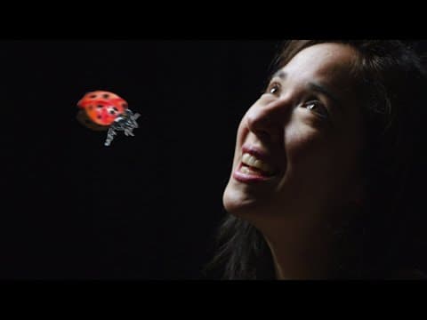 Thumbnail for video 1